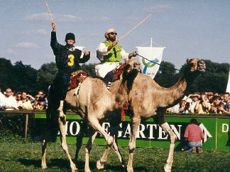 Kamelrennen im Hoppegarten Berlin